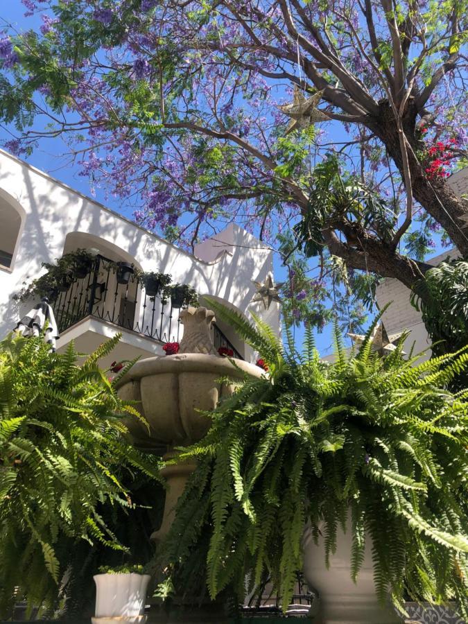 Casa Lani Luxury B&B San Miguel de Allende Bagian luar foto