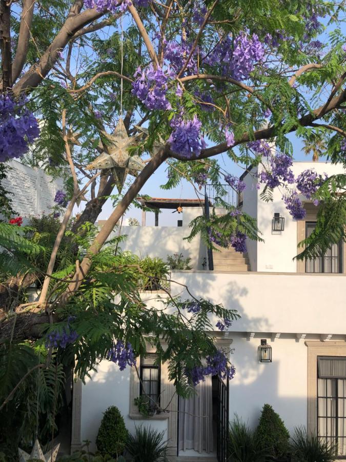 Casa Lani Luxury B&B San Miguel de Allende Bagian luar foto