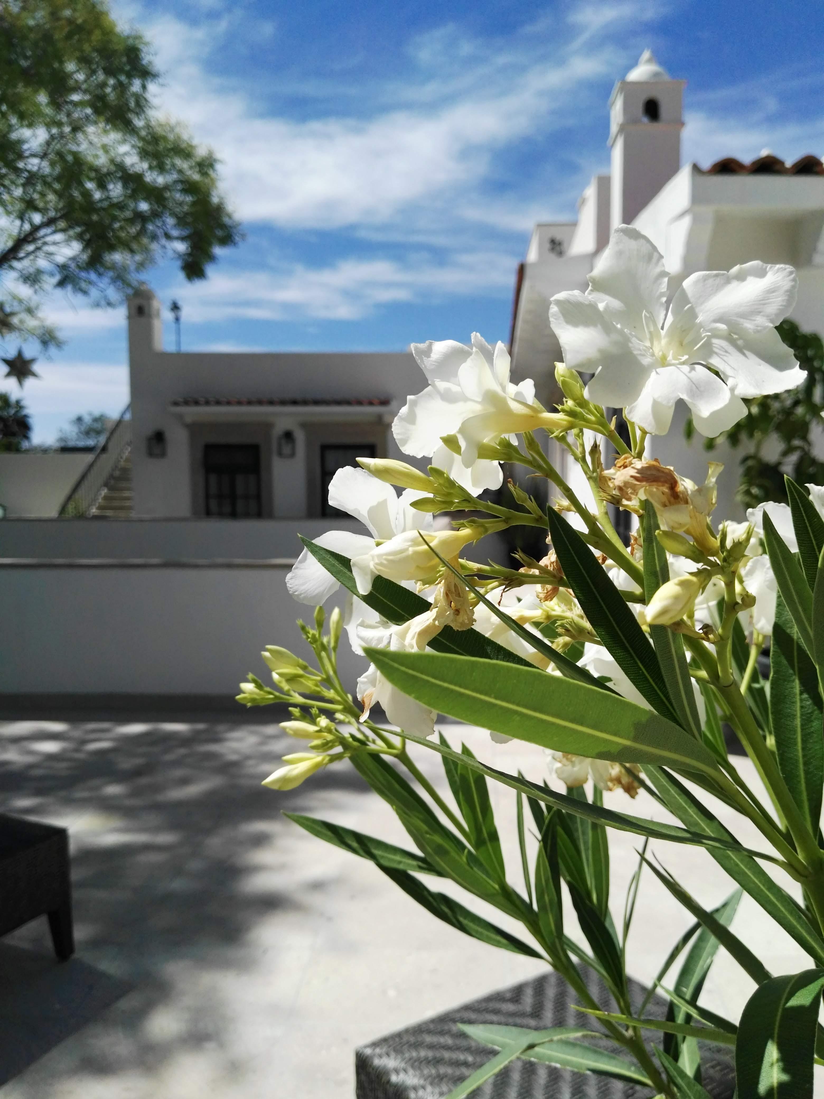 Casa Lani Luxury B&B San Miguel de Allende Bagian luar foto