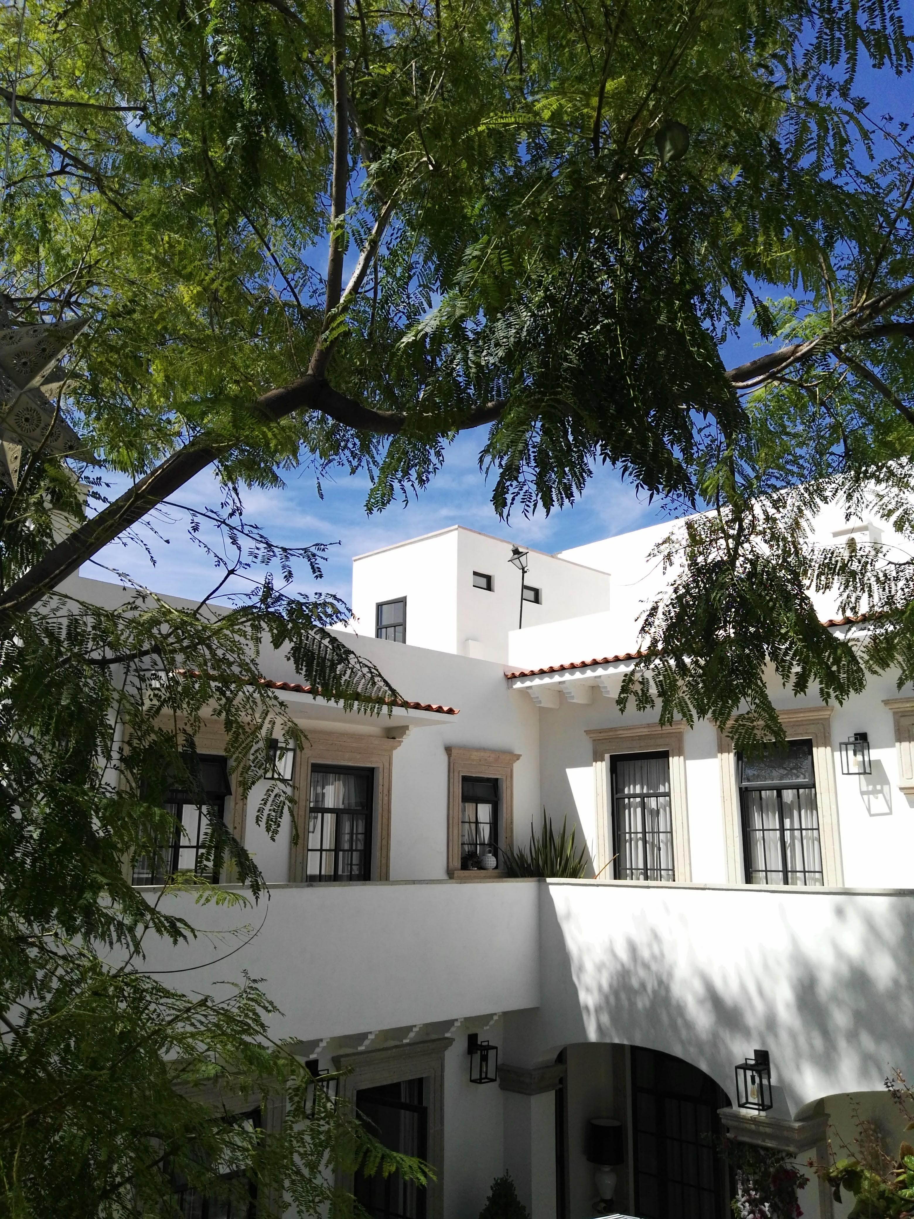 Casa Lani Luxury B&B San Miguel de Allende Bagian luar foto