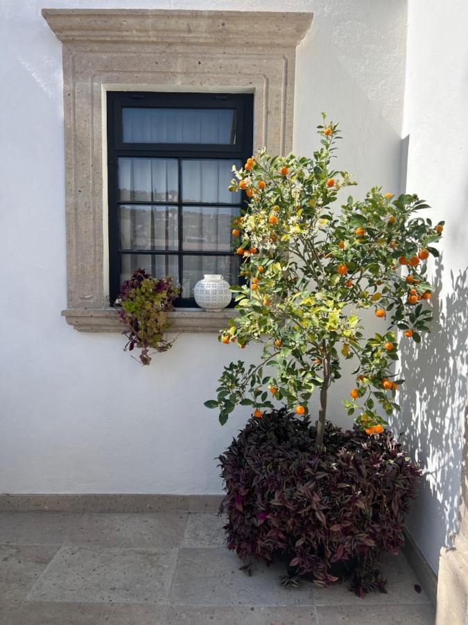 Casa Lani Luxury B&B San Miguel de Allende Bagian luar foto